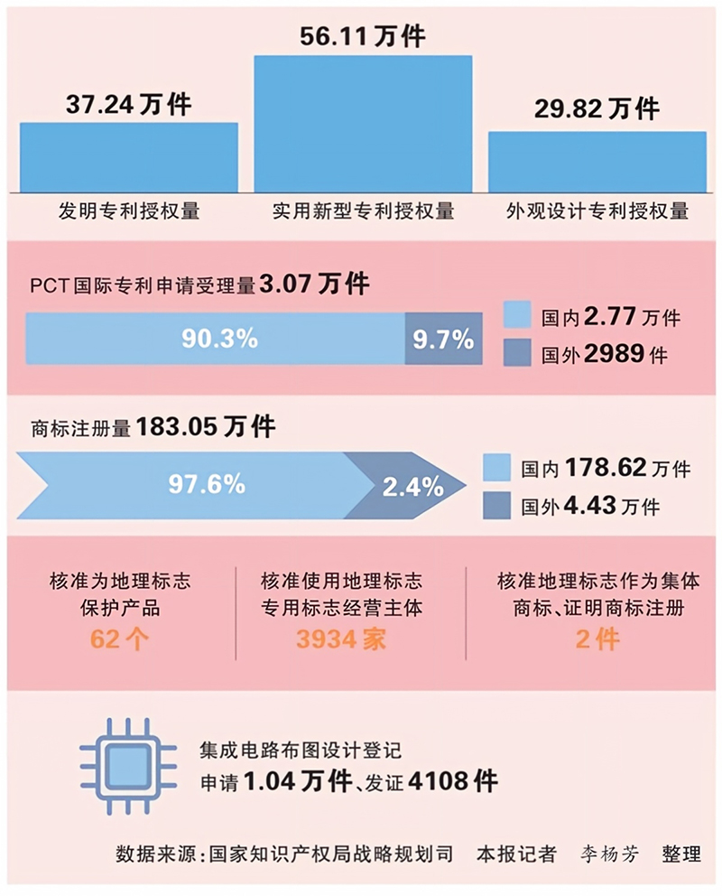 一图速览2026年前5个月我国知识产权统计数据